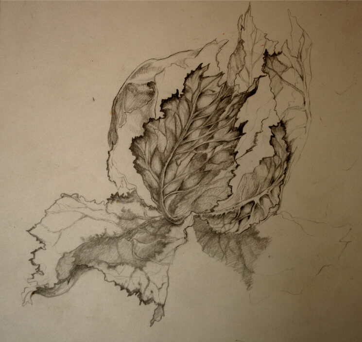 Natura