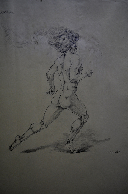 Studi Anatomici